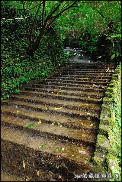 【台北 景點】烏來雲仙樂園 | 螢火蟲的追逐(6)
