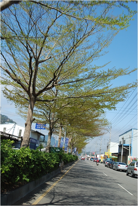 【苗栗大湖 景點】山頂果園農場 | 粉紅色的季節到大湖採草莓、神農獎獲獎果園