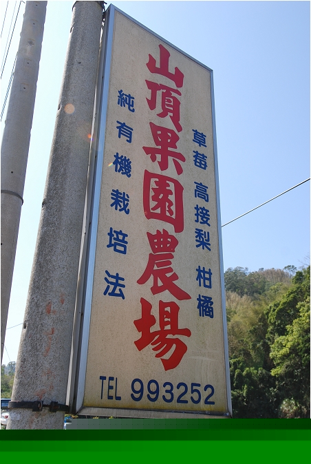 【苗栗大湖 景點】山頂果園農場 | 粉紅色的季節到大湖採草莓、神農獎獲獎果園
