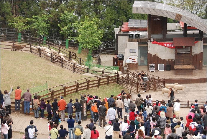 【南投 景點】星空與草原的交織。清境 | 合歡山暗空公園