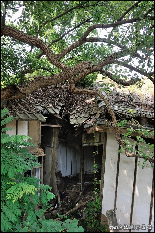 【苗栗 推薦景點】通霄神社、虎頭山公園、日俄戰爭紀念碑