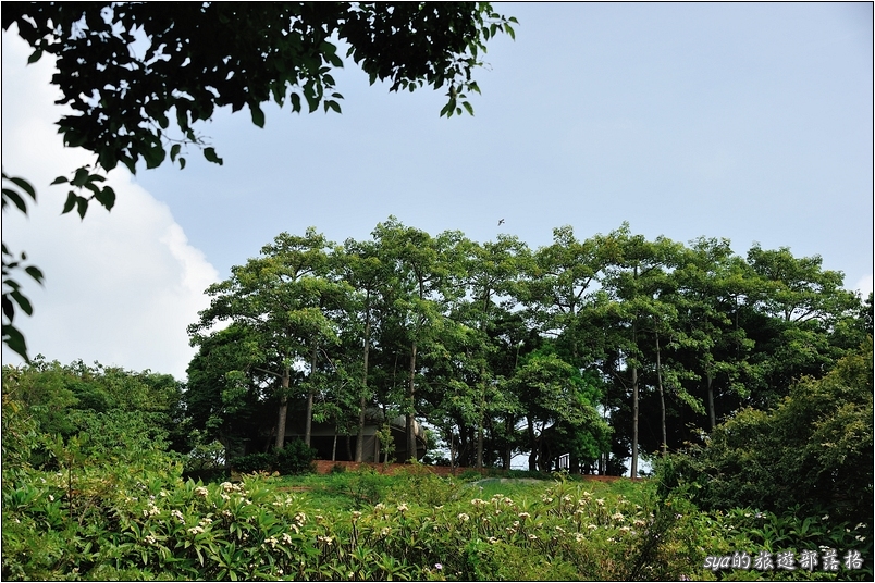 【苗栗 推薦景點】通霄神社、虎頭山公園、日俄戰爭紀念碑