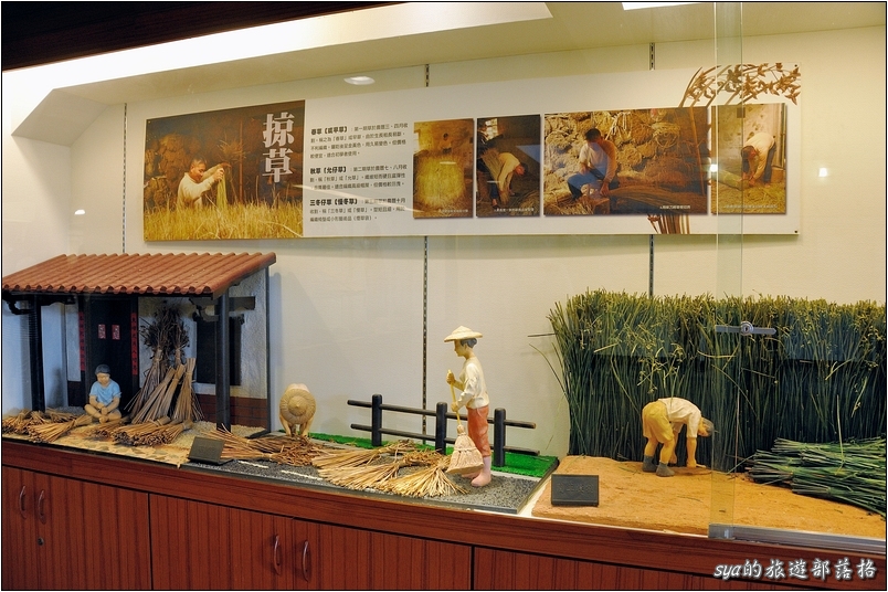 【苗栗 景點】藺草文化館 | 巧手編草、悠遊懷舊