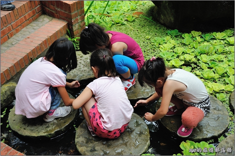 【苗栗 景點】華陶窯 | 品嚐割稻飯、大陶碗自助式午餐、漫步人文庭園
