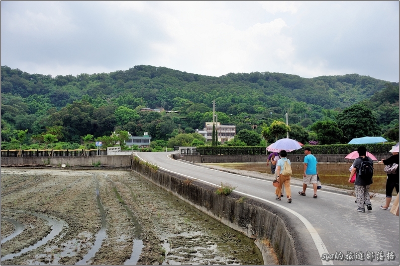 【苗栗 景點】華陶窯 | 品嚐割稻飯、大陶碗自助式午餐、漫步人文庭園