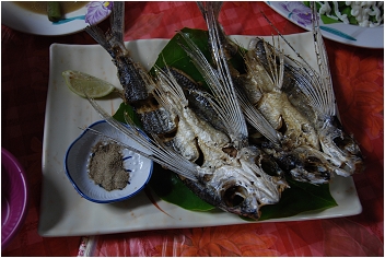 蘭嶼。美食