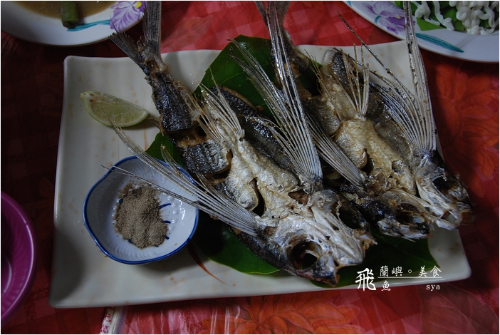 蘭嶼。美食