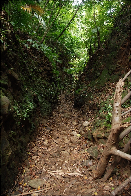 蘭嶼。天池