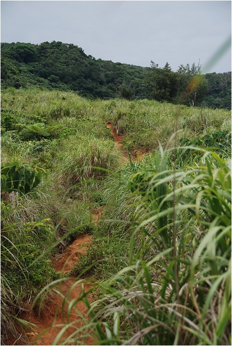 蘭嶼。天池