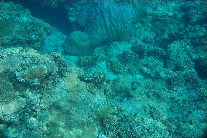 蘭嶼。海