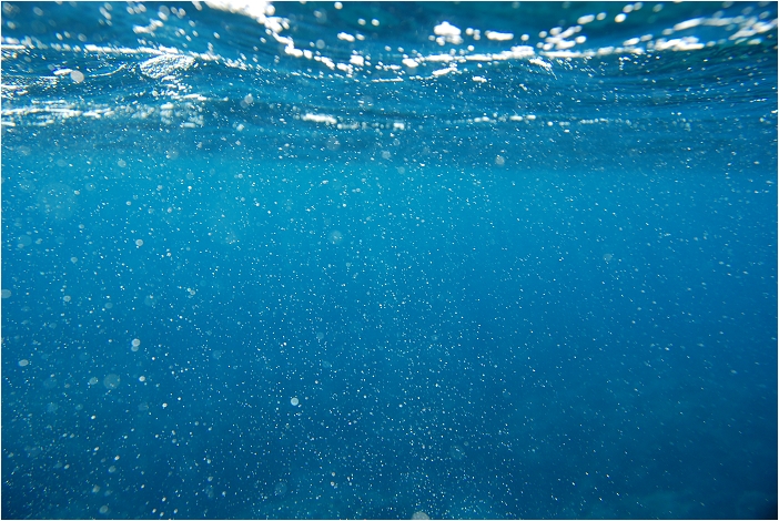 蘭嶼。海