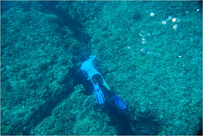 蘭嶼。海