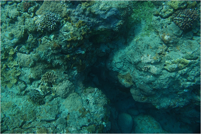 蘭嶼。海