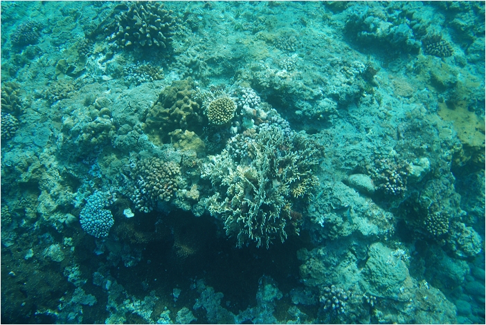 蘭嶼。海