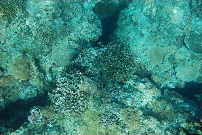 蘭嶼。海