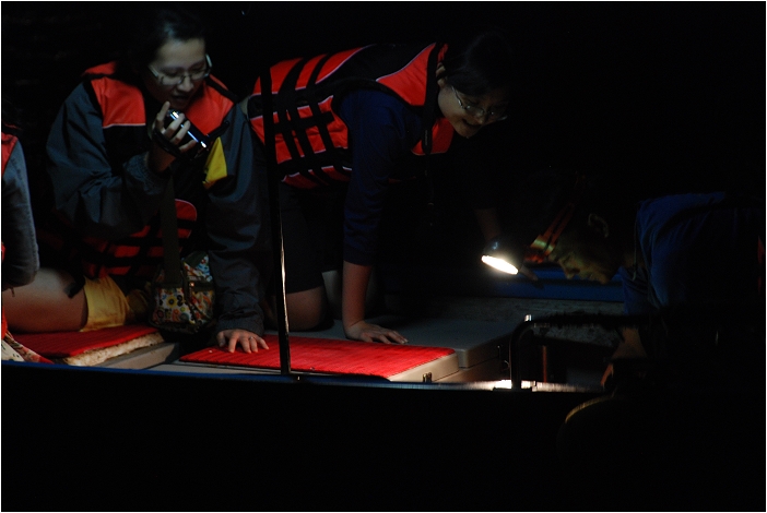 蘭嶼。夜 ( 角鴞、光澤蝸牛、棋盤腳 )