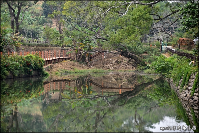 【苗栗 景點】北埔三連埤 | 埤塘農業風華