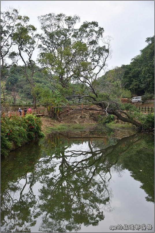 【苗栗 景點】北埔三連埤 | 埤塘農業風華