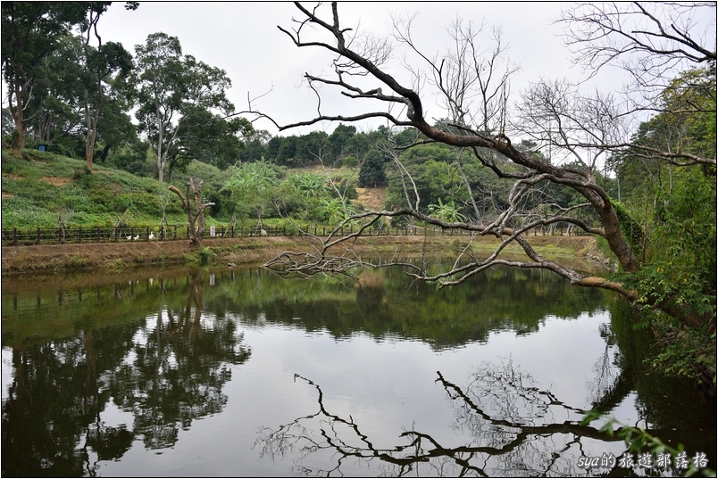 【苗栗 景點】北埔三連埤 | 埤塘農業風華