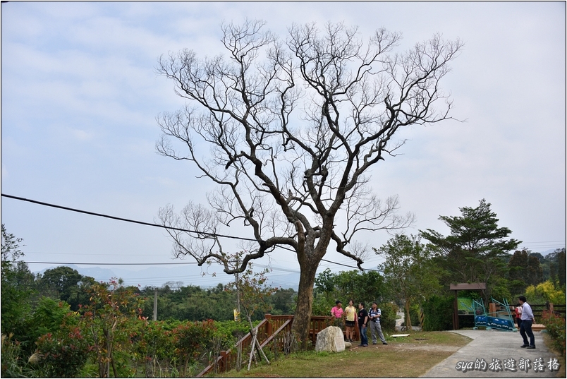 【苗栗 景點】北埔三連埤 | 埤塘農業風華