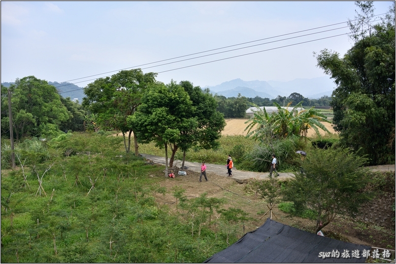 【苗栗 景點】北埔三連埤 | 埤塘農業風華