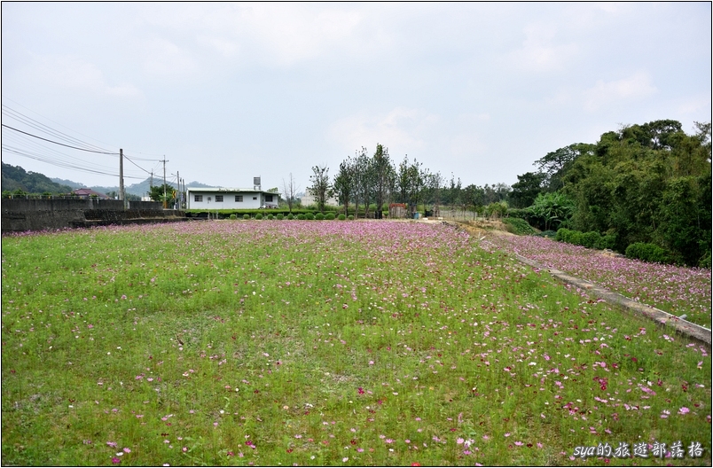 【苗栗 景點】北埔三連埤 | 埤塘農業風華