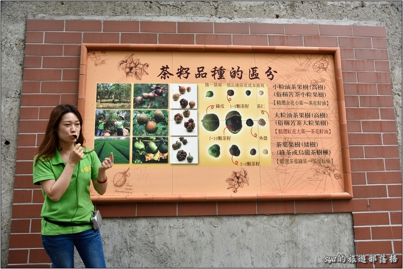 【苗栗 景點】金樁茶油工坊 | 貓裏老食味