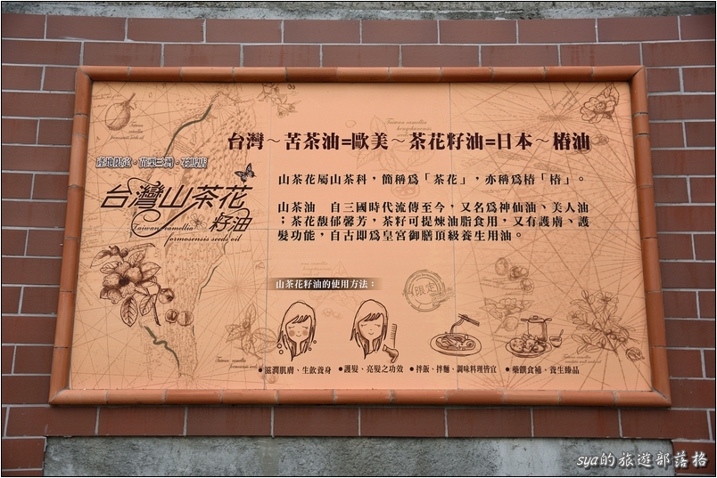 【苗栗 景點】金樁茶油工坊 | 貓裏老食味
