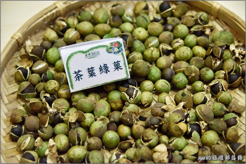 【苗栗 景點】金樁茶油工坊 | 貓裏老食味