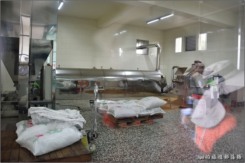 【苗栗 景點】金樁茶油工坊 | 貓裏老食味