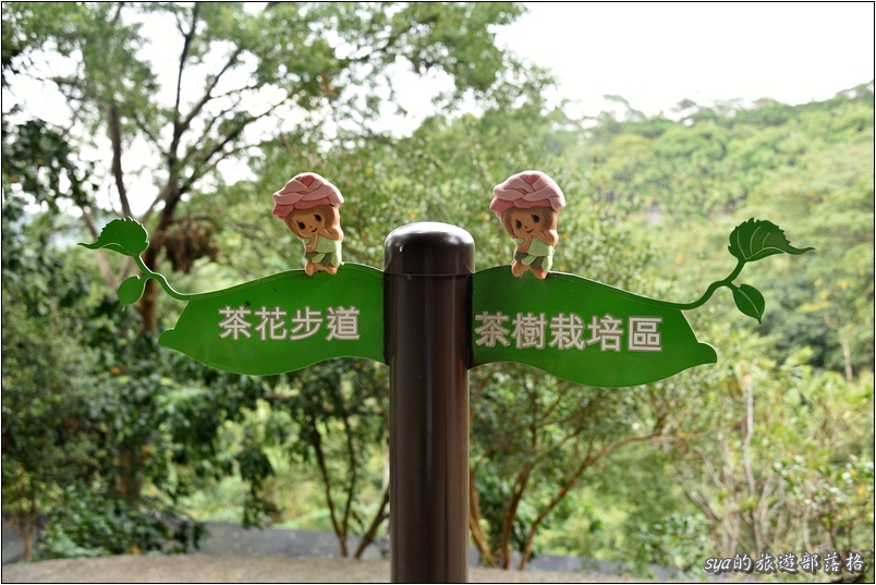 【苗栗 景點】金樁茶油工坊 | 貓裏老食味