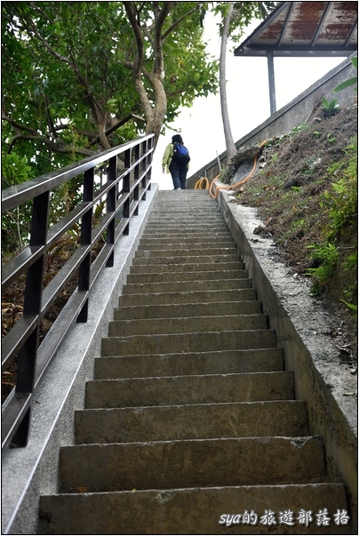 【苗栗 景點】金樁茶油工坊 | 貓裏老食味