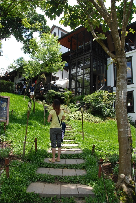 【新竹 景點】薰衣草森林 尖石店 | 一抹淡紫的香氣