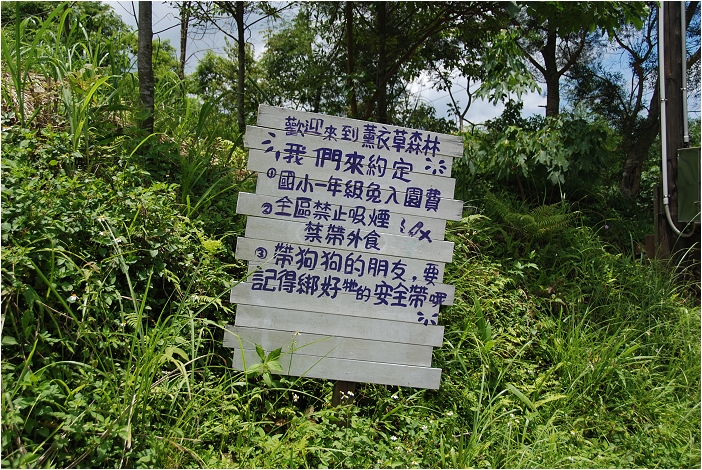 【新竹 景點】薰衣草森林 尖石店 | 一抹淡紫的香氣