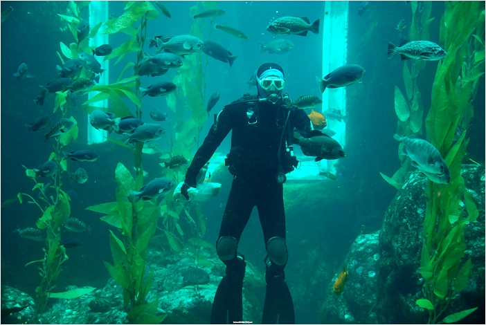 【屏東墾丁 景點】海洋生物博物館 | 欣賞藍色水底隧道、悠遊的小白鯨、大魟魚，以及夜宿海生館要注意什麼？