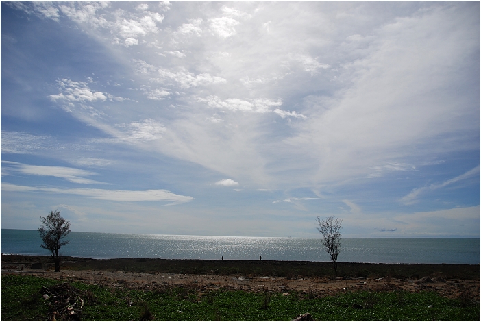 【屏東墾丁 景點】海洋生物博物館 | 欣賞藍色水底隧道、悠遊的小白鯨、大魟魚，以及夜宿海生館要注意什麼？