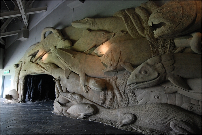 【屏東墾丁 景點】海洋生物博物館 | 欣賞藍色水底隧道、悠遊的小白鯨、大魟魚，以及夜宿海生館要注意什麼？
