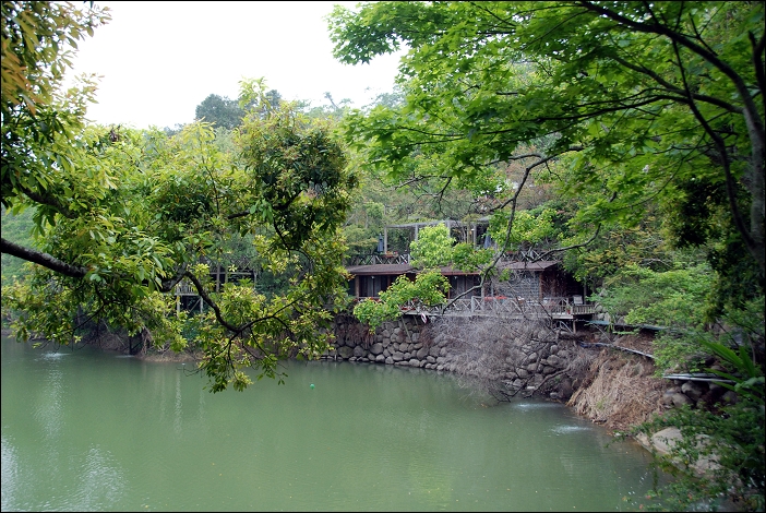 【苗栗 景觀餐廳】苗栗大湖。湖畔花時間