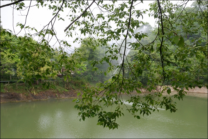 【苗栗 景觀餐廳】苗栗大湖。湖畔花時間