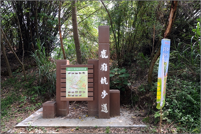 【苗栗 景點】鹿廚坑桐花步道 | 頹圮的維也納