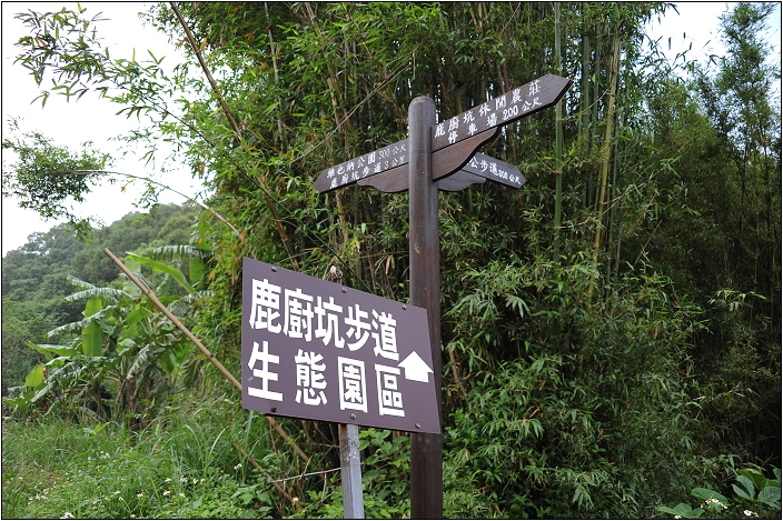 【苗栗 景點】鹿廚坑桐花步道 | 頹圮的維也納