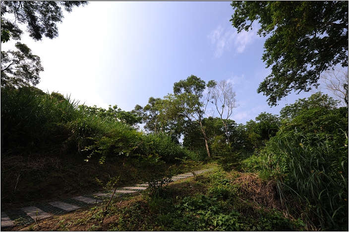 【苗栗 景點】鹿廚坑桐花步道 | 頹圮的維也納