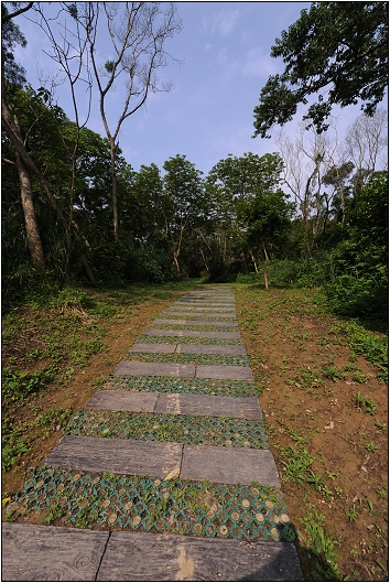 【苗栗 景點】鹿廚坑桐花步道 | 頹圮的維也納