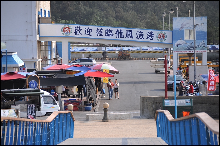 昔日移民的登陸口。龍鳳漁港 | 風力發電大風車、臨海步道、新鮮現捕海產