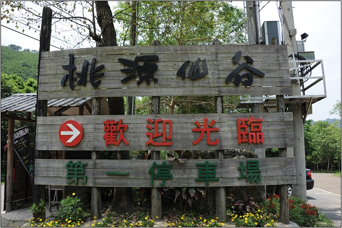 【桃園 景點】桃源仙谷 | 百花齊放之鬱金香海