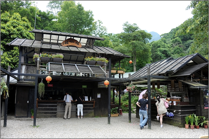 【桃園 景點】桃源仙谷 | 百花齊放之鬱金香海