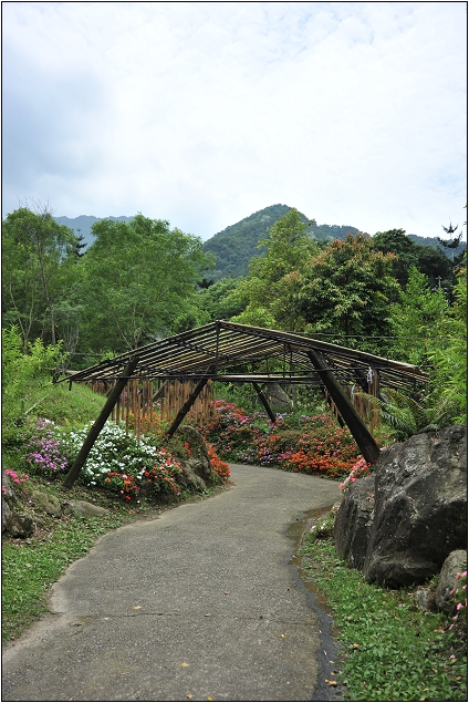 【桃園 景點】桃源仙谷 | 百花齊放之鬱金香海