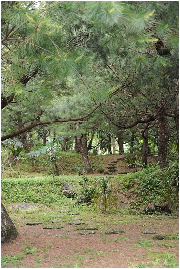 【桃園 景點】桃源仙谷 | 百花齊放之鬱金香海