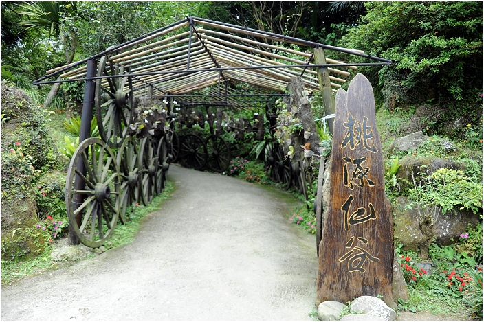 【桃園 景點】桃源仙谷 | 百花齊放之鬱金香海