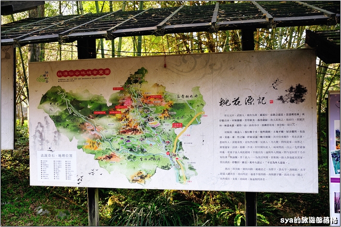 【桃園 景點】桃源仙谷 | 百花齊放之鬱金香海